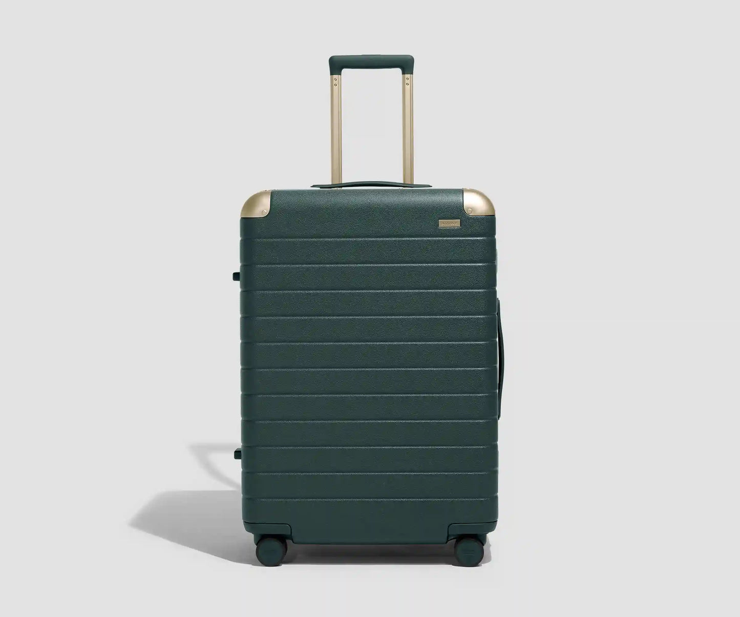 The Aluminum Edge Medium in Ivy Green
