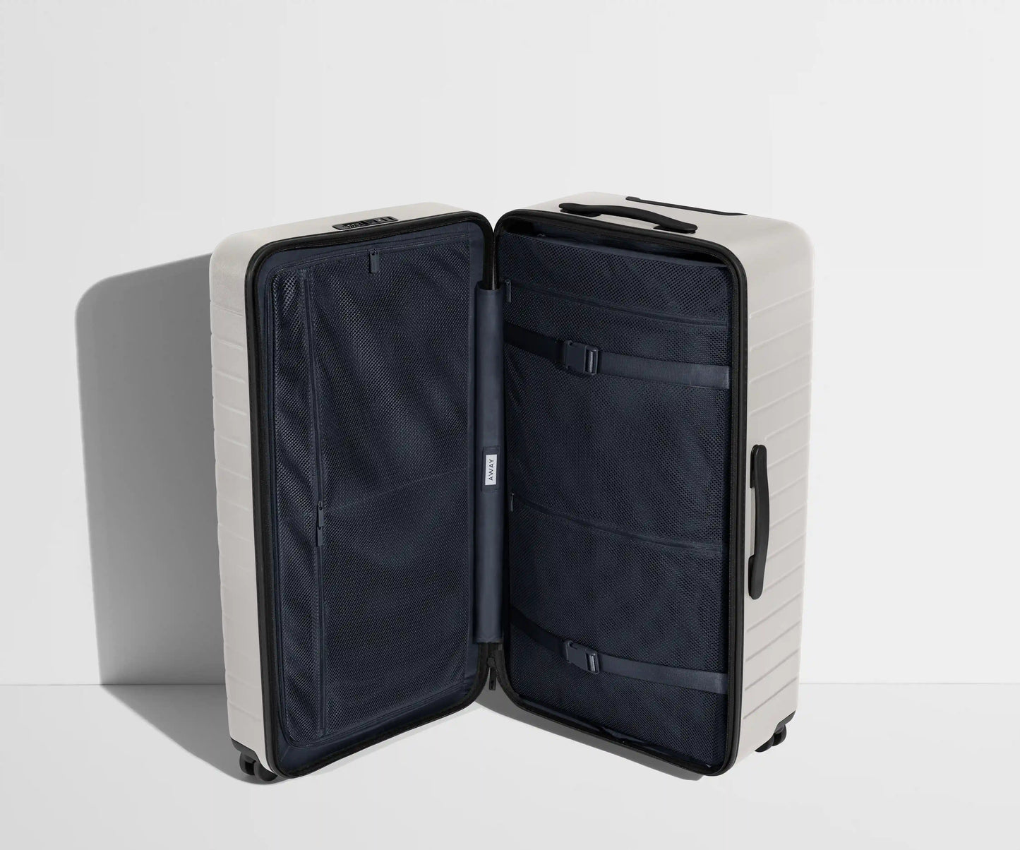 The Trunk in Cloud Gray
