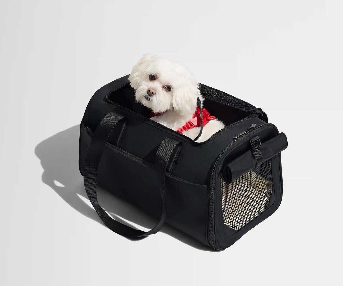 The Pet Carrier in Jet Black