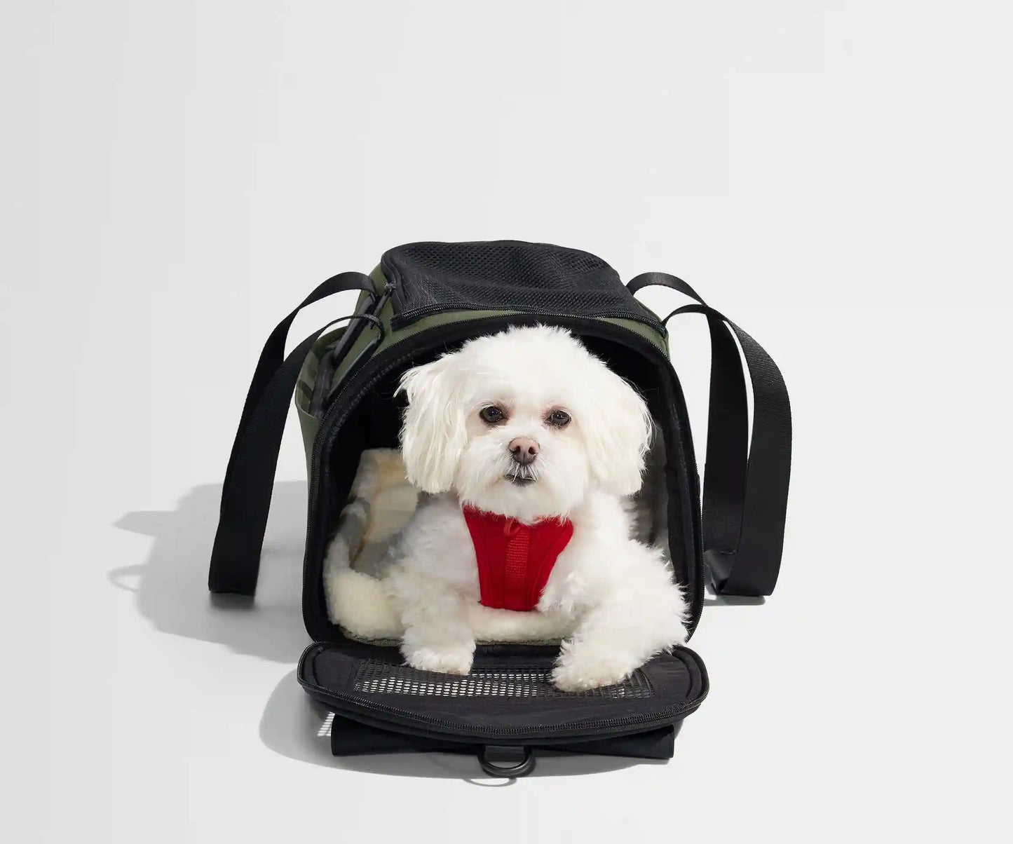 The Pet Carrier in Olive Green